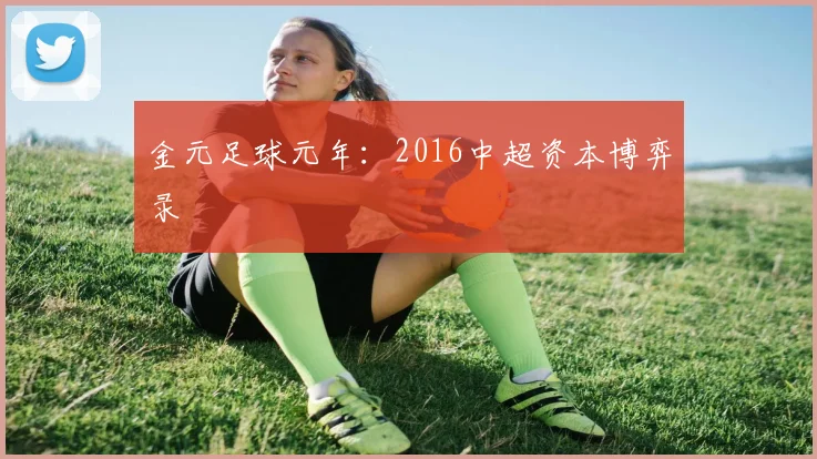 金元足球元年：2016中超资本博弈录