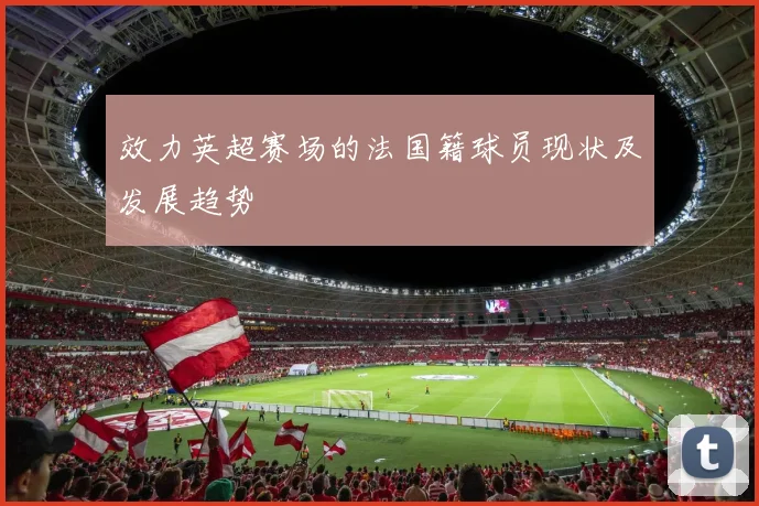 效力英超赛场的法国籍球员现状及发展趋势