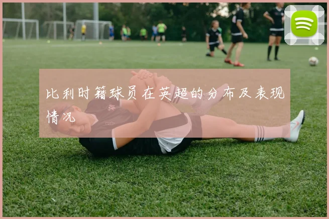 比利时籍球员在英超的分布及表现情况